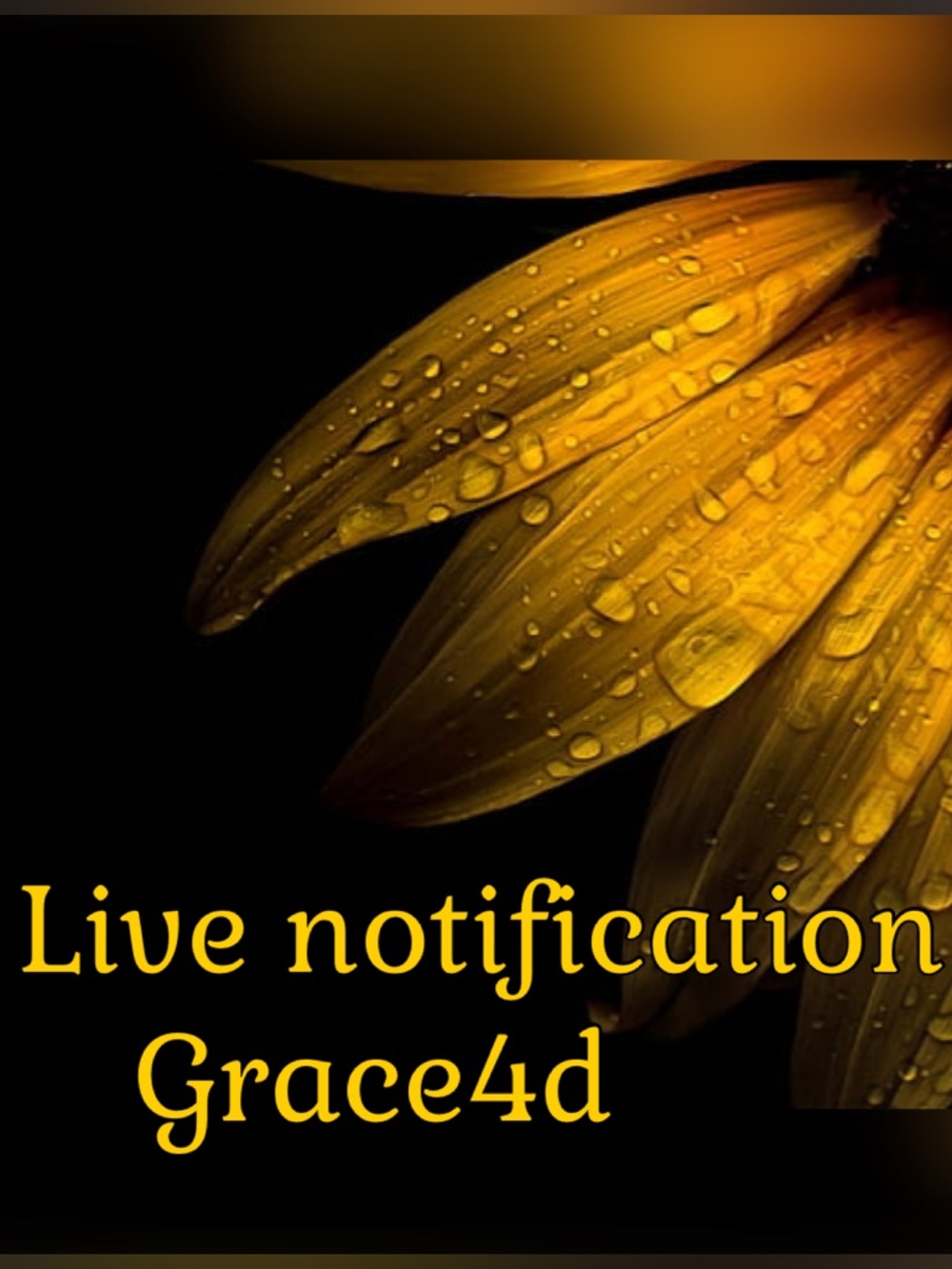 Live Thursdays noon EST Vintage Jewelry Some mod 2. Like this listing 4 notice